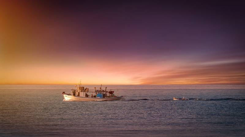 La pêche du jour au menu du restaurant étoilé Le Figuier Saint Esprit sur la Côte d'Azur